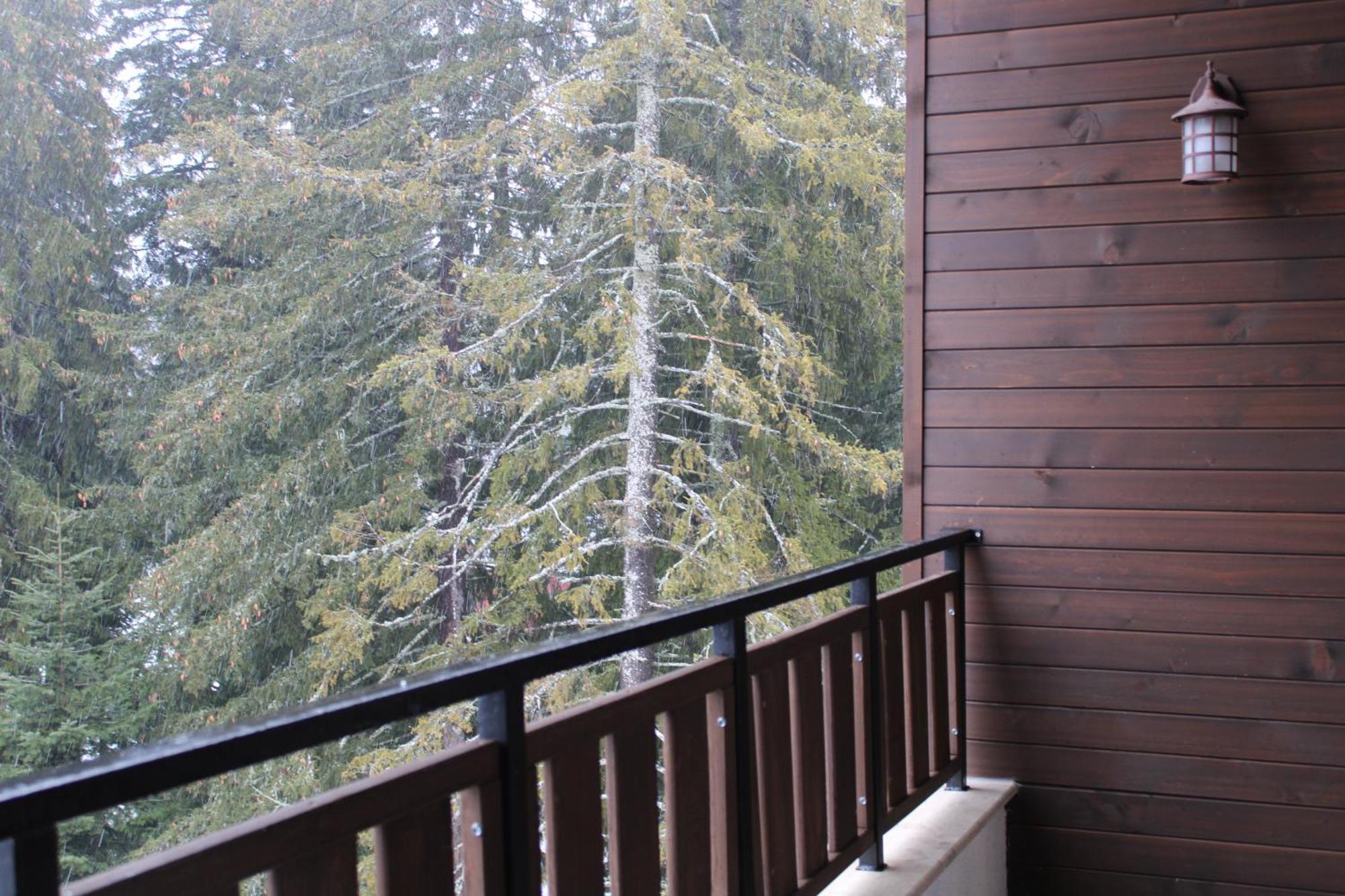 Mountain Studio Asp E63 Borovets Gardens エクステリア 写真