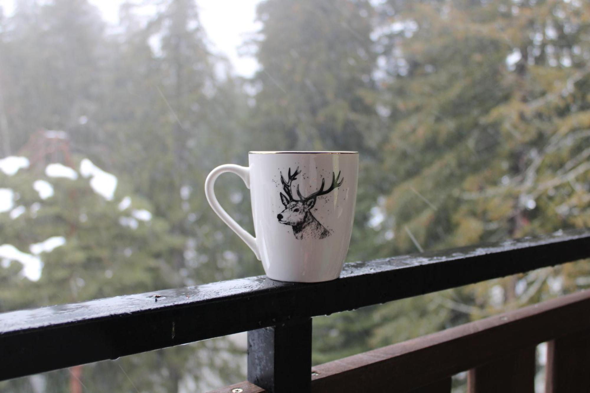 Mountain Studio Asp E63 Borovets Gardens エクステリア 写真