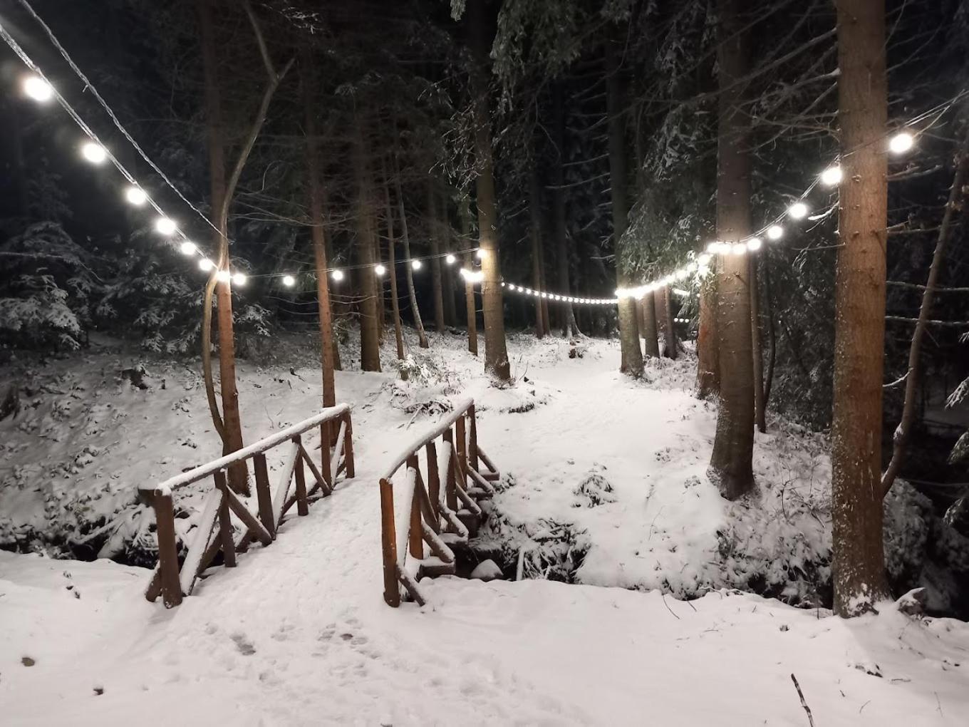 Mountain Studio Asp E63 Borovets Gardens エクステリア 写真