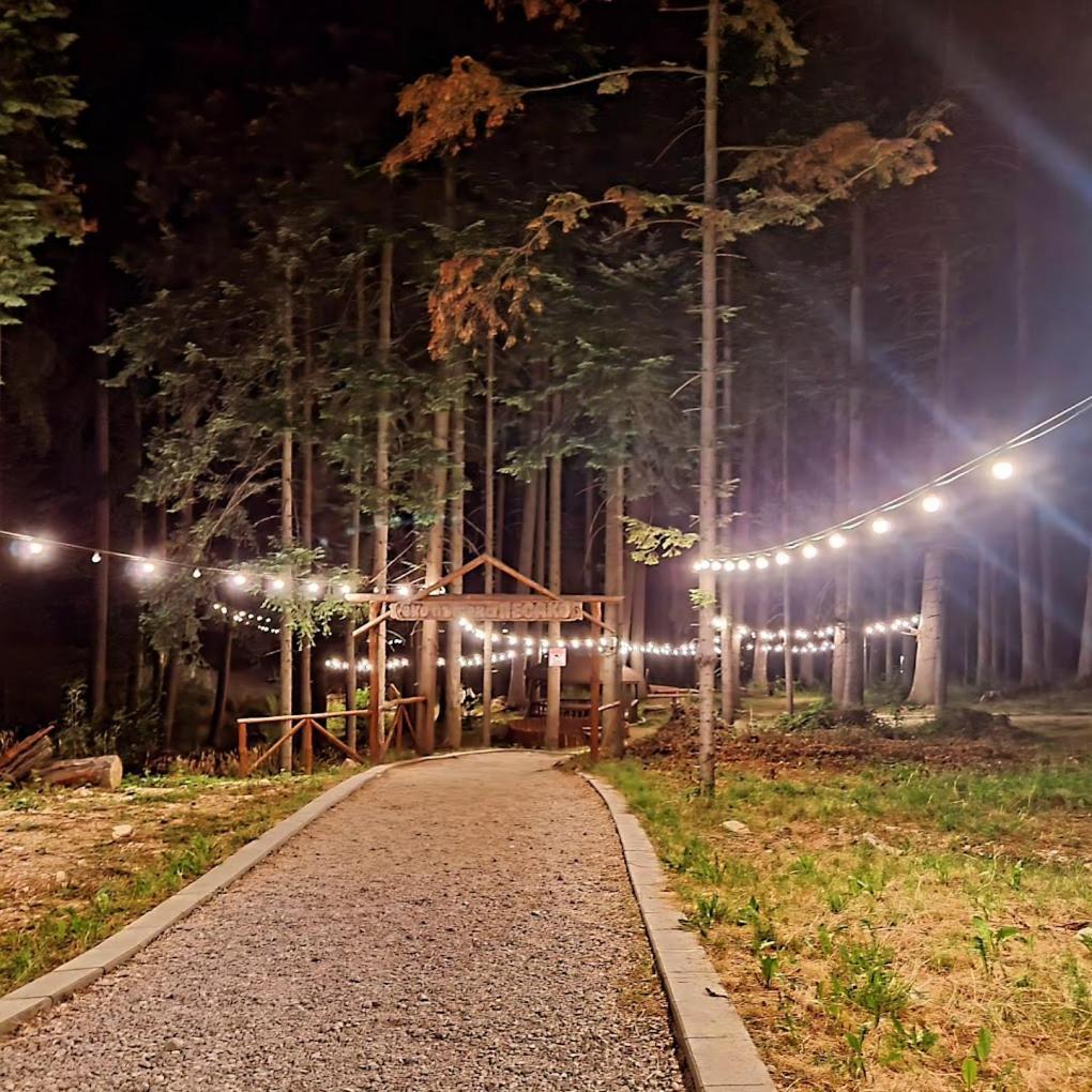 Mountain Studio Asp E63 Borovets Gardens エクステリア 写真